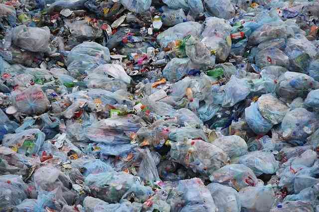 plastic eating bacteria for plastics in landfills