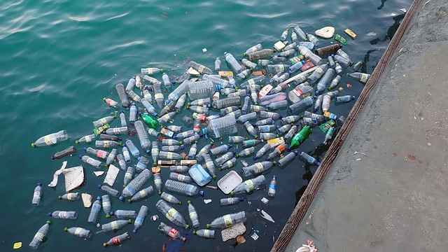 plastic eating bacterias for ocean plastic